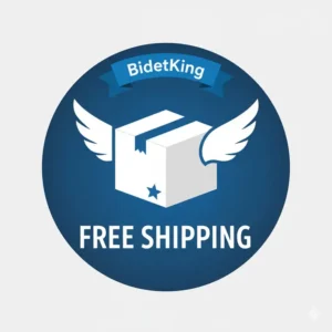Icon representing the BidetKing free shipping offer, often combinable with a coupon or promotional code.